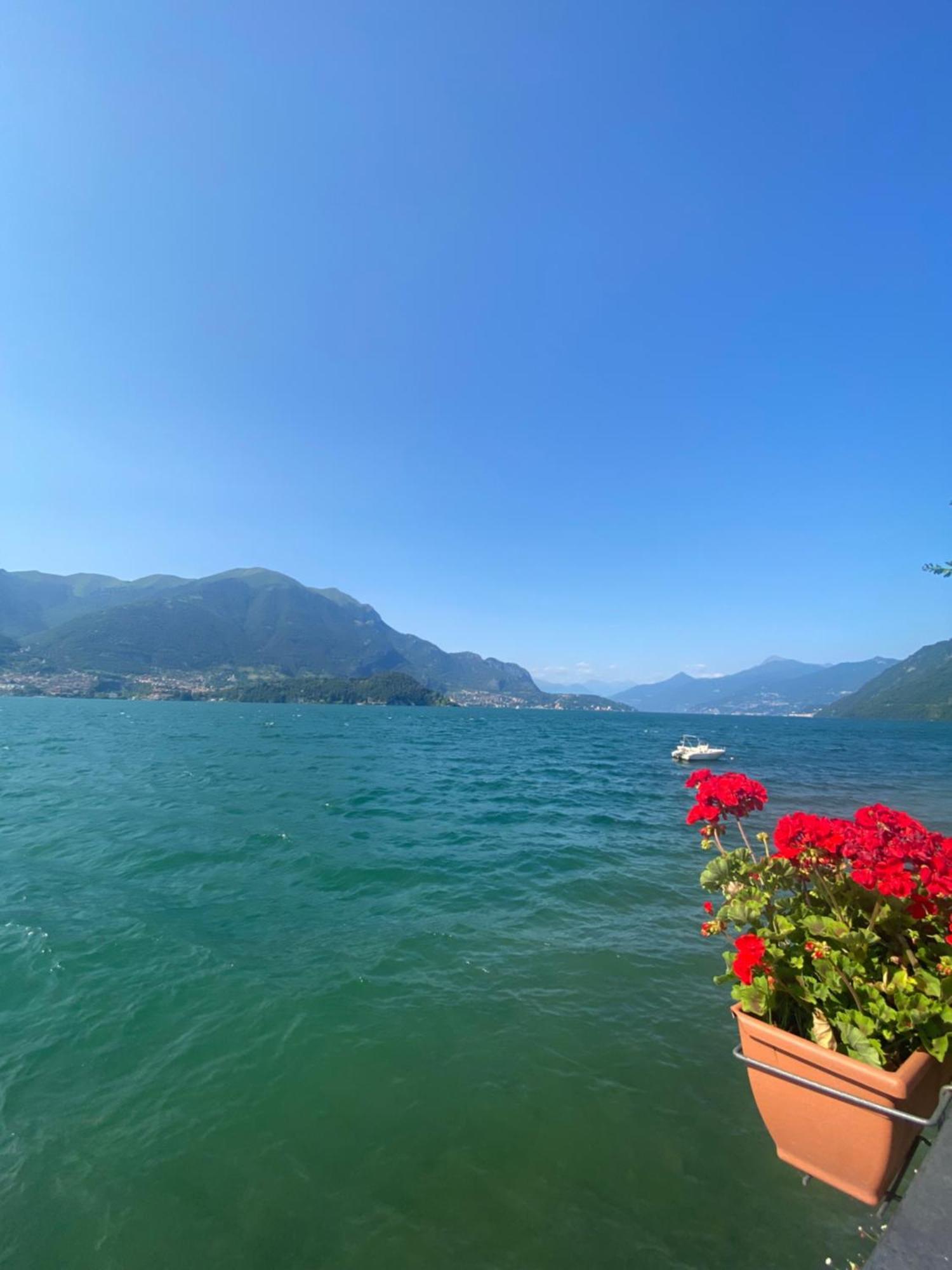 Peonia Apartment - Appartamento Vista Lago Lezzeno Exteriér fotografie