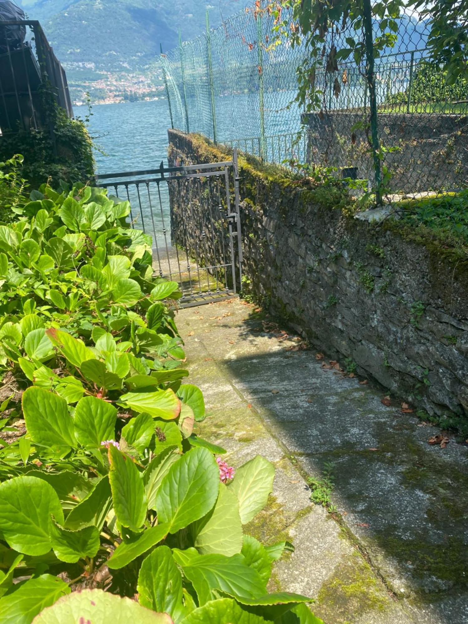 Peonia Apartment - Appartamento Vista Lago Lezzeno Exteriér fotografie
