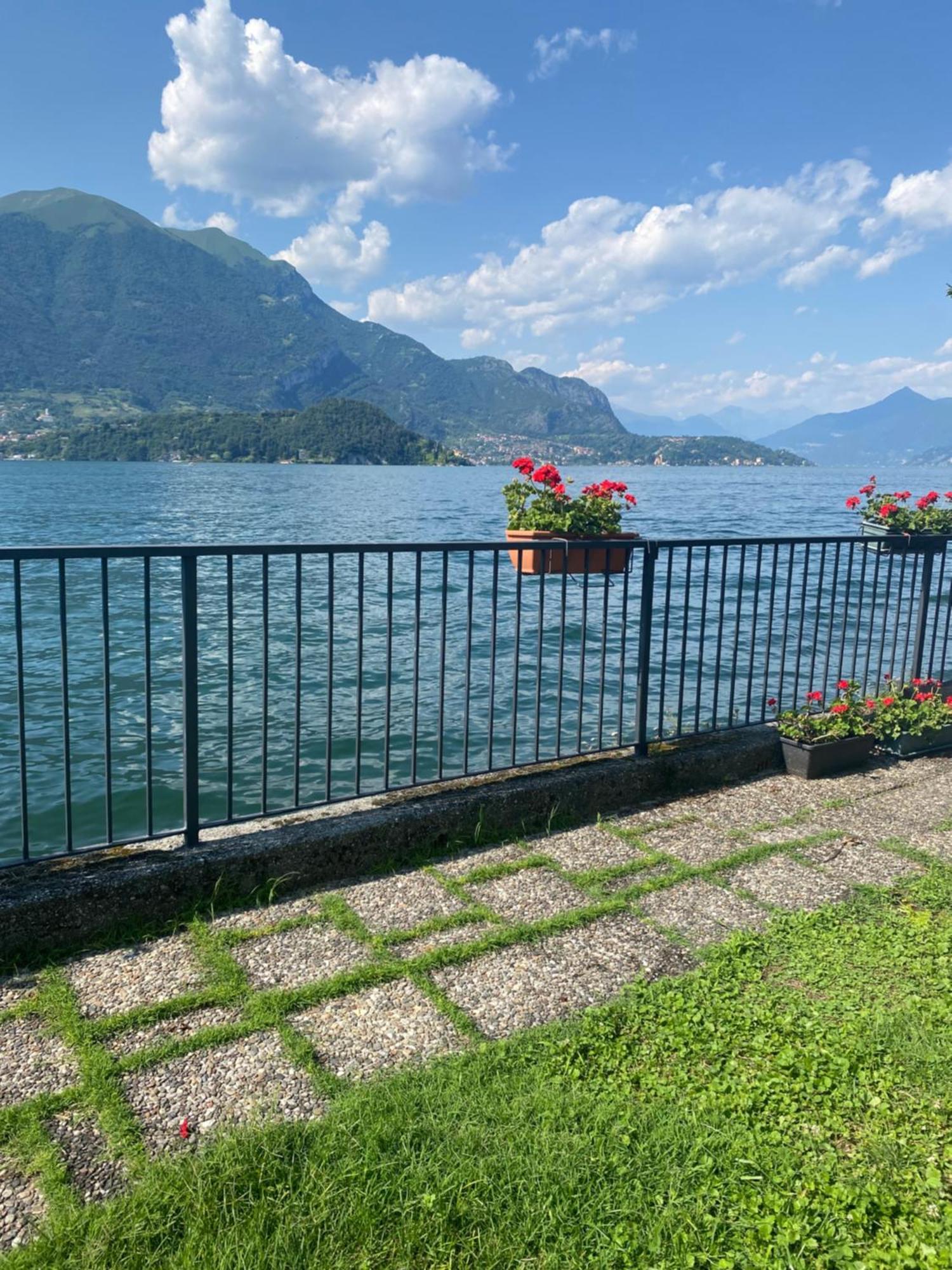 Peonia Apartment - Appartamento Vista Lago Lezzeno Exteriér fotografie