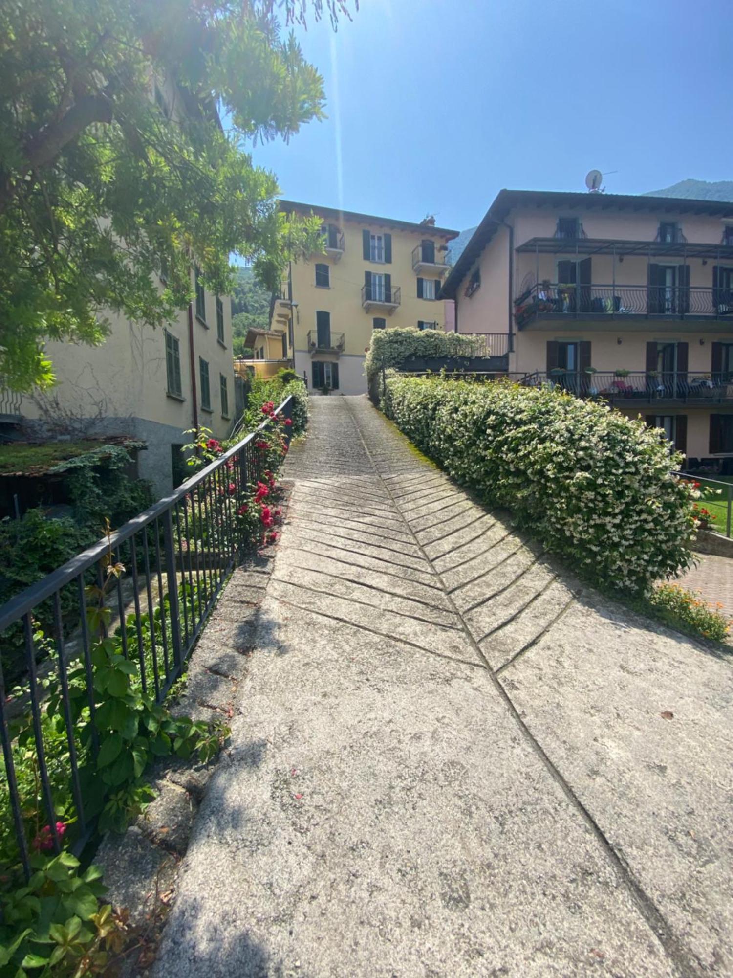 Peonia Apartment - Appartamento Vista Lago Lezzeno Exteriér fotografie