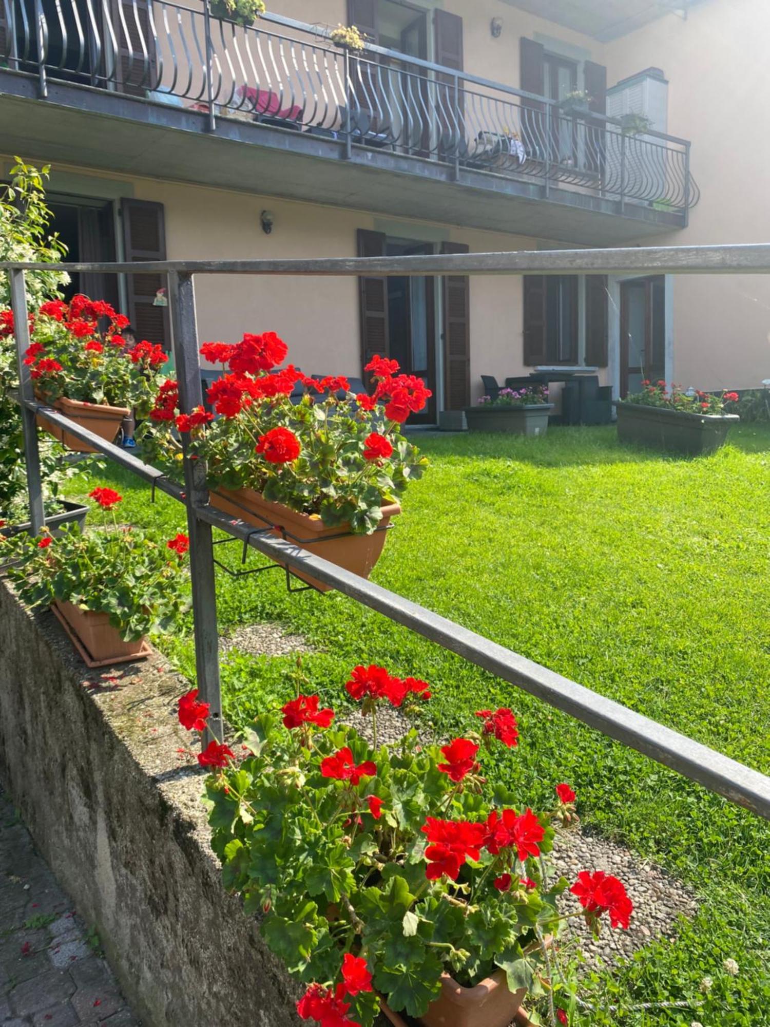 Peonia Apartment - Appartamento Vista Lago Lezzeno Exteriér fotografie