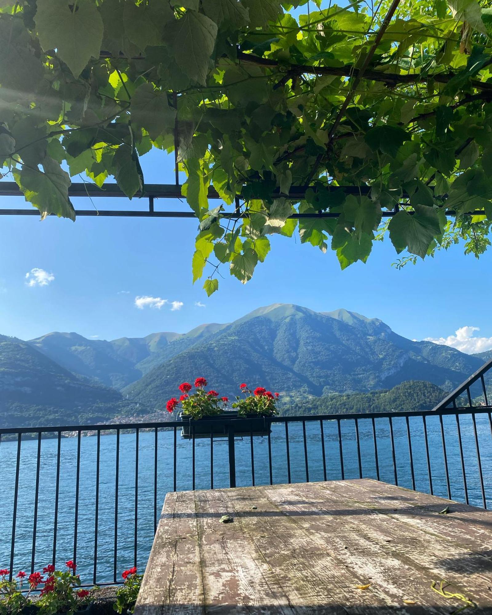 Peonia Apartment - Appartamento Vista Lago Lezzeno Exteriér fotografie