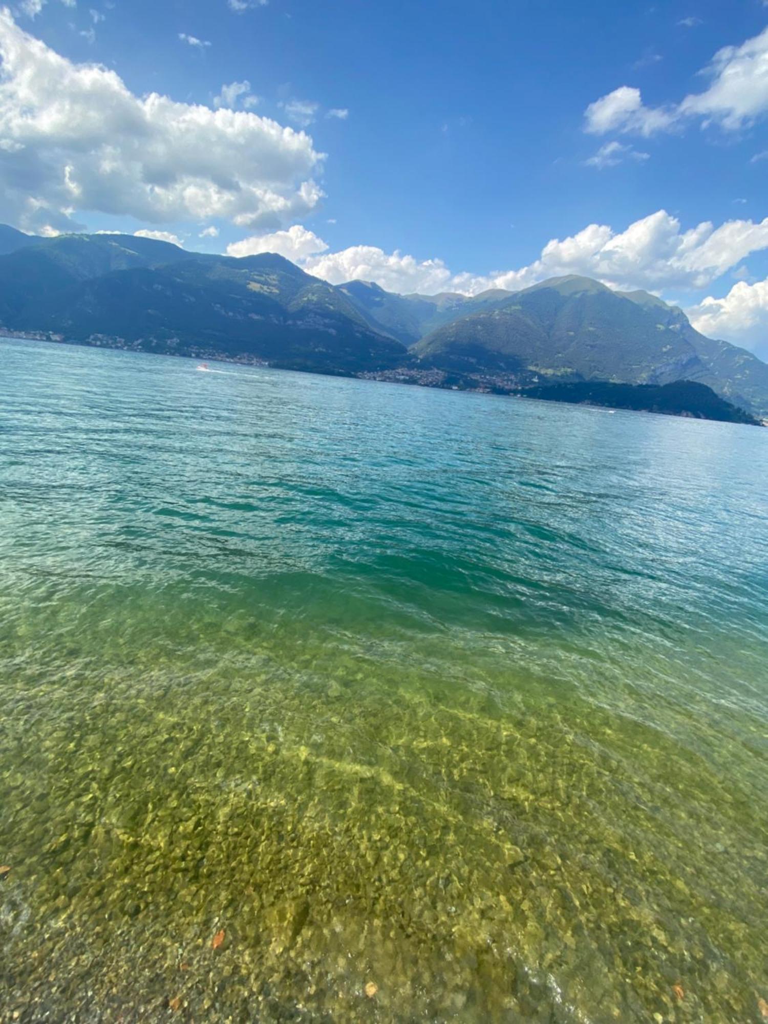 Peonia Apartment - Appartamento Vista Lago Lezzeno Exteriér fotografie