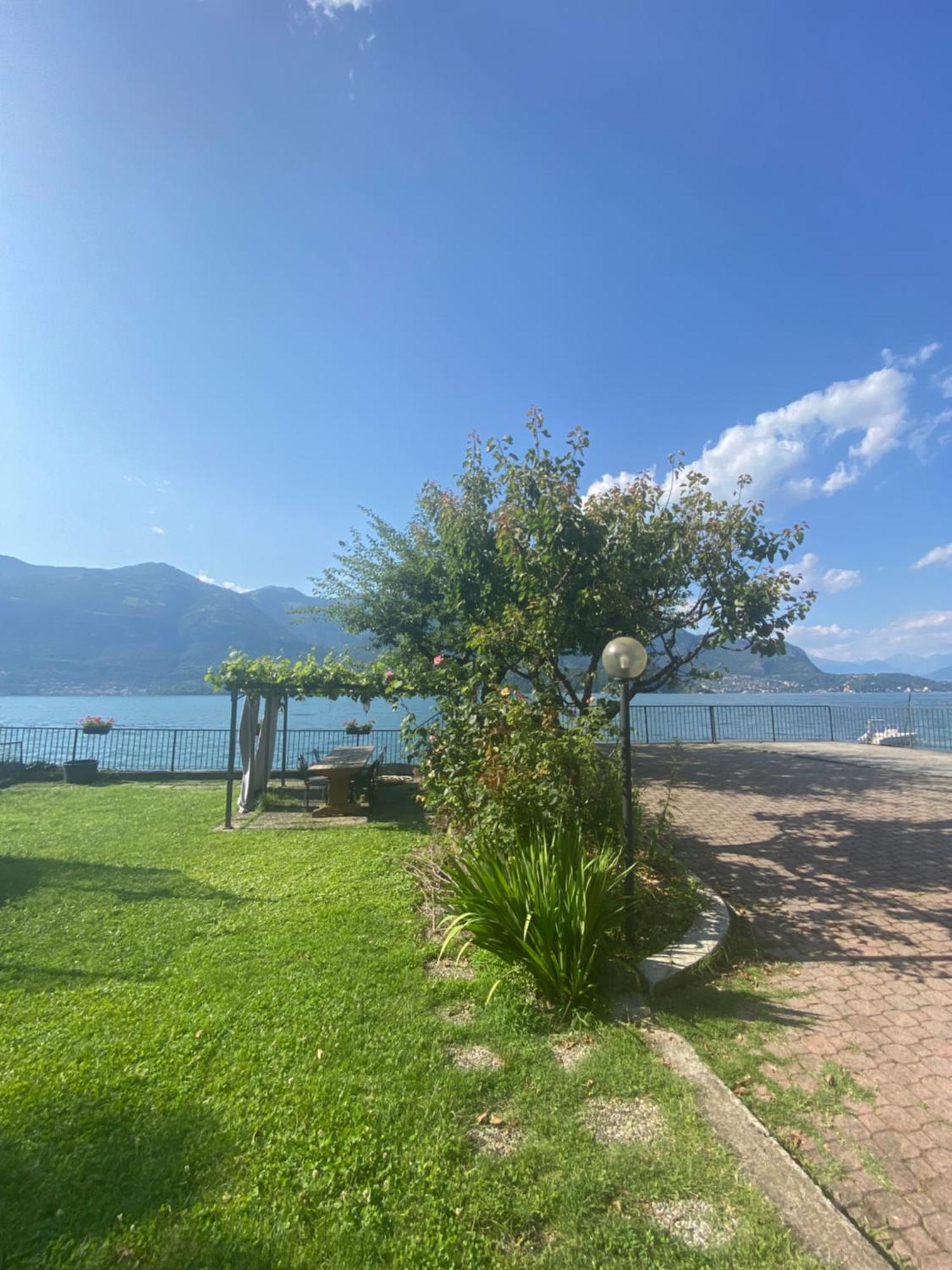 Peonia Apartment - Appartamento Vista Lago Lezzeno Exteriér fotografie