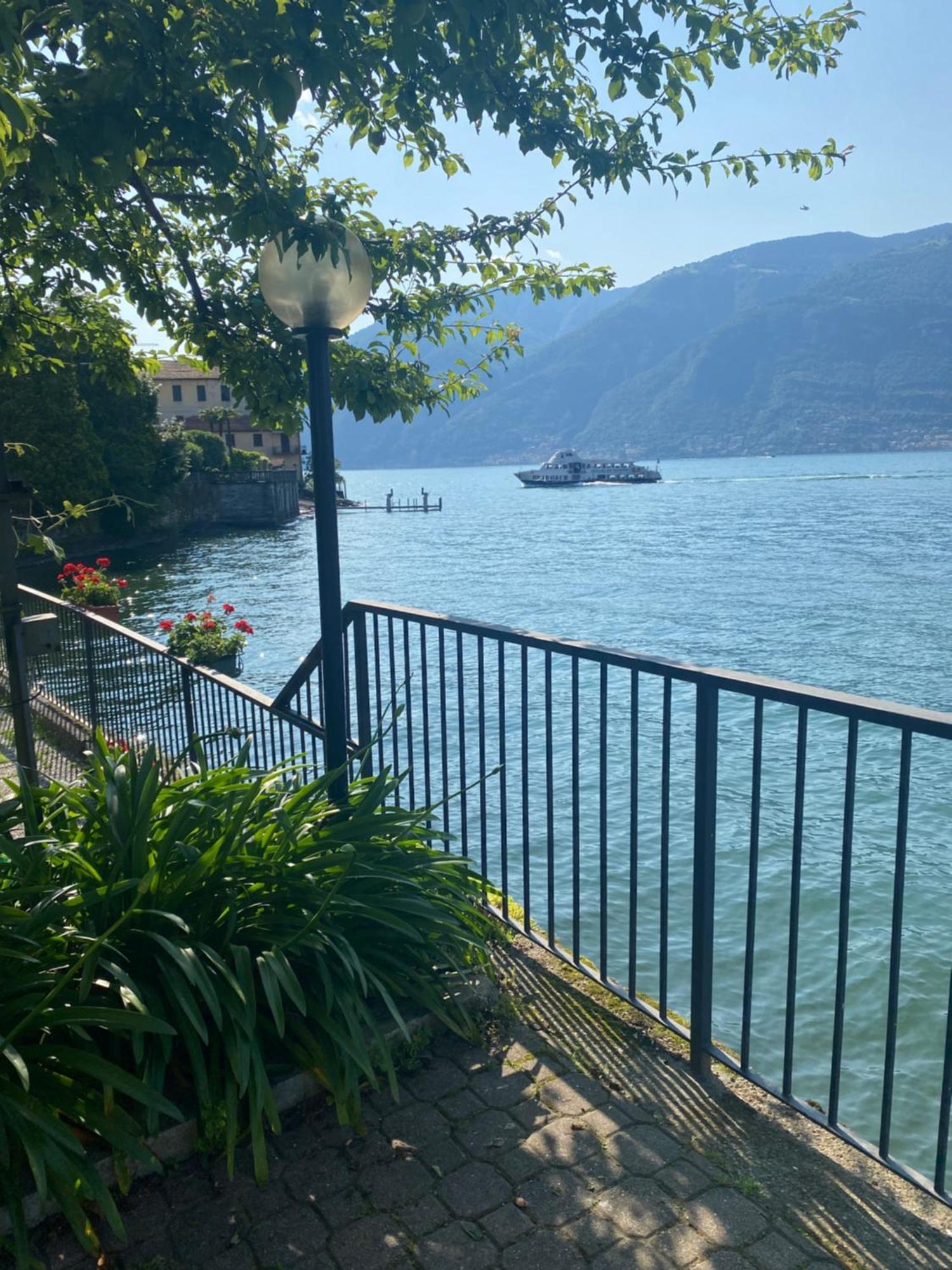 Peonia Apartment - Appartamento Vista Lago Lezzeno Exteriér fotografie