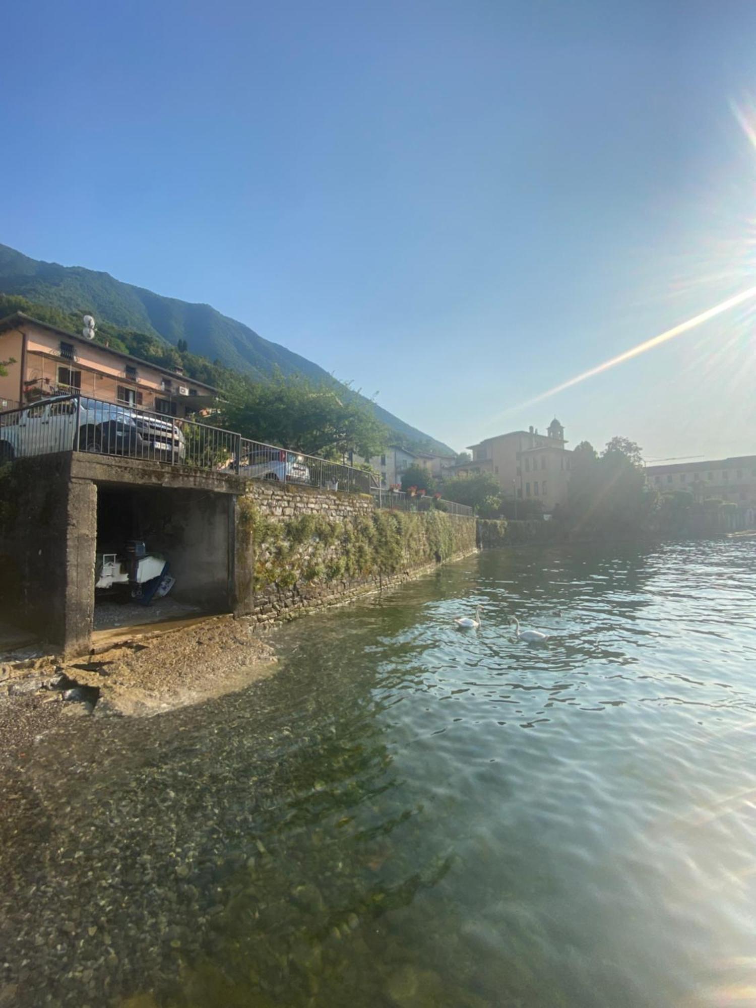 Peonia Apartment - Appartamento Vista Lago Lezzeno Exteriér fotografie