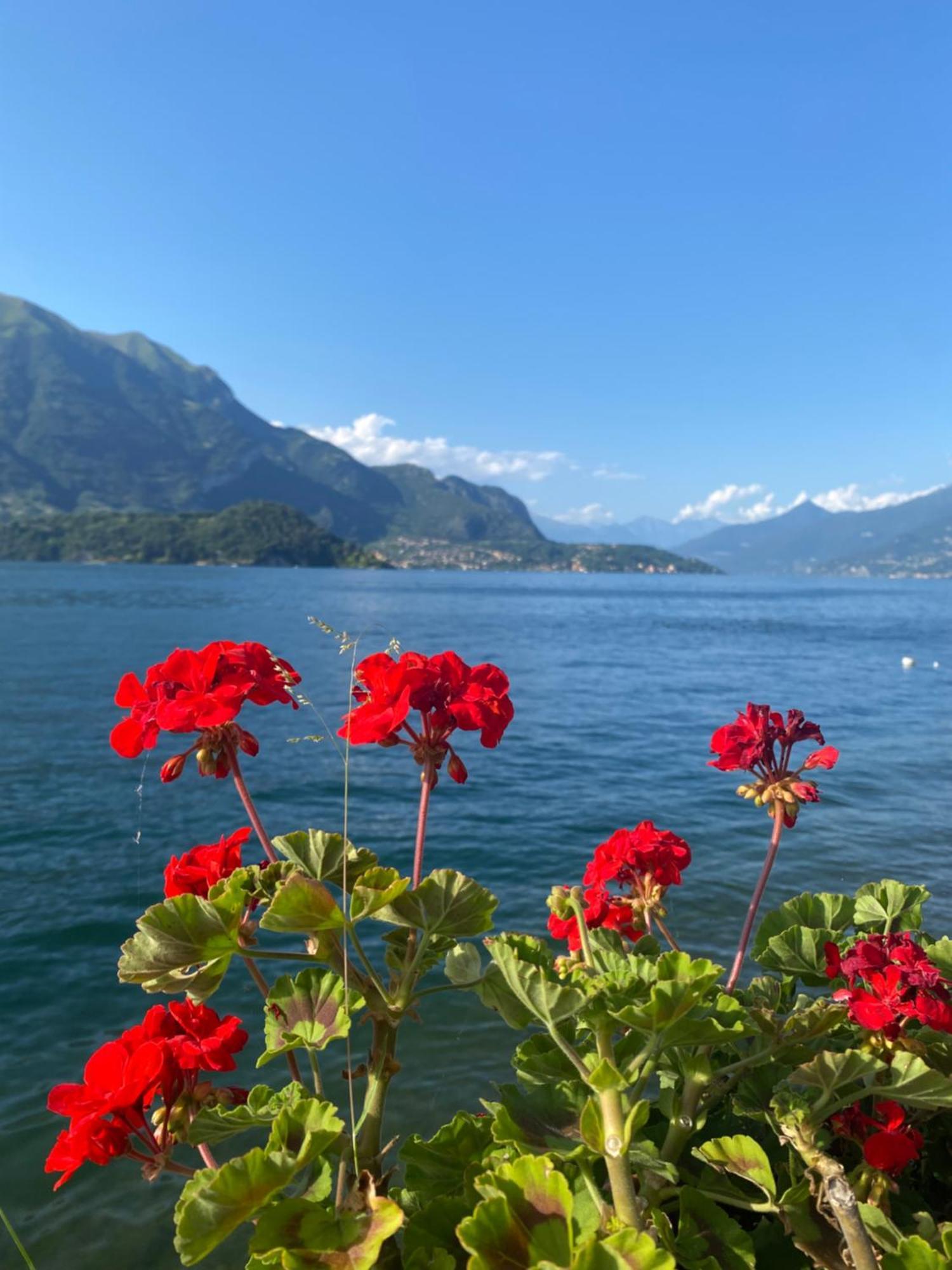 Peonia Apartment - Appartamento Vista Lago Lezzeno Exteriér fotografie